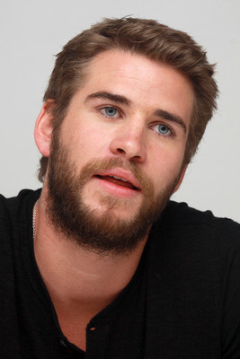 Liam Hemsworth Poster 2340442