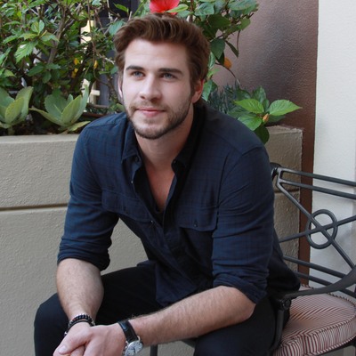 Liam Hemsworth Poster 2352455