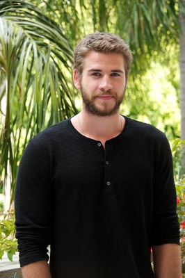 Liam Hemsworth Poster 2428822