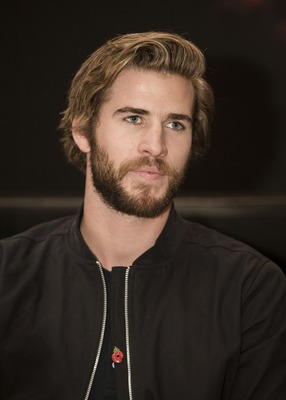 Liam Hemsworth Poster 2457584