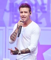 Liam Payne Longsleeve T-shirt #2795565