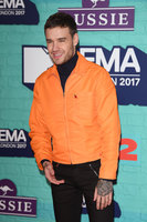 Liam Payne Longsleeve T-shirt #2859634