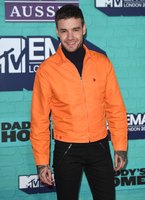 Liam Payne Longsleeve T-shirt #2859640