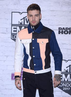 Liam Payne Longsleeve T-shirt #2859655