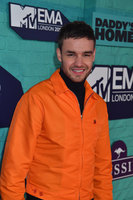 Liam Payne hoodie #2859700