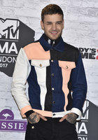 Liam Payne Longsleeve T-shirt #2859775