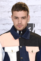 Liam Payne Longsleeve T-shirt #2859787
