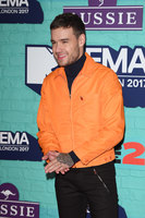 Liam Payne Longsleeve T-shirt #2859789