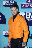 Liam Payne mug #G1101893