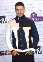 Liam Payne Longsleeve T-shirt #2909864