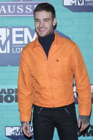 Liam Payne Longsleeve T-shirt #2909874