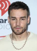 Liam Payne Longsleeve T-shirt #2909876
