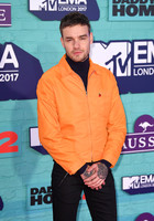 Liam Payne mug #G1152016