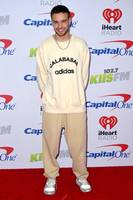 Liam Payne Longsleeve T-shirt #2909929