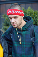Liam Payne Longsleeve T-shirt #2944456