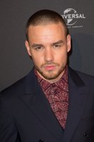 Liam Payne Longsleeve T-shirt #3097865