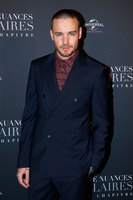 Liam Payne Longsleeve T-shirt #3097899