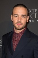 Liam Payne Sweatshirt #3097962