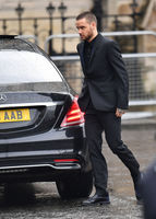 Liam Payne Longsleeve T-shirt #3181005