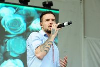 Liam Payne Sweatshirt #3271373