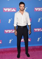 Liam Payne Longsleeve T-shirt #3797296