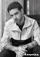 Liam Payne Longsleeve T-shirt #3865911