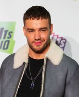 Liam Payne Longsleeve T-shirt #3915614