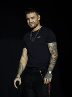 Liam Payne Longsleeve T-shirt #3915631