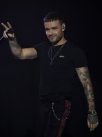Liam Payne Longsleeve T-shirt #3915740
