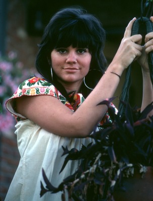 Linda Ronstadt posters