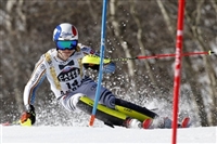 Linus Strasser tote bag #G2264410