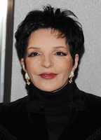 Liza Minnelli hoodie #2551738