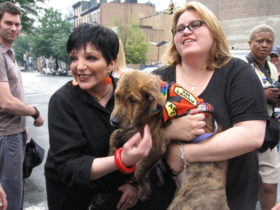 Liza Minnelli posters