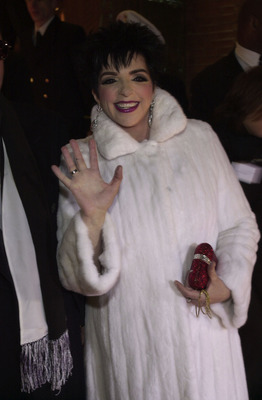 Liza Minnelli posters