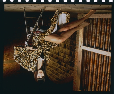 Lucy Lawless posters