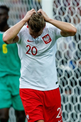 Lukasz Piszczek posters