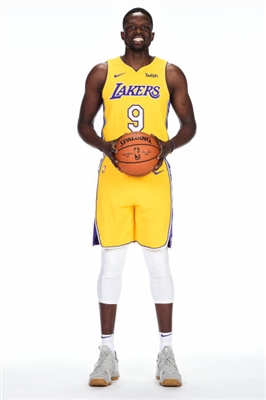 Luol Deng stickers 3388919