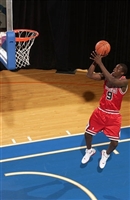Luol Deng Sweatshirt #3388957