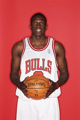 Luol Deng puzzle 3388972