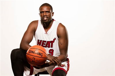 Luol Deng puzzle 3389072