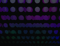 Madonna tote bag #G374088