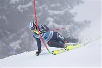 Manfred Moelgg longsleeve t-shirt #3649559