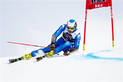 Manfred Moelgg posters