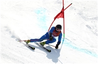 Manfred Moelgg tote bag #G2263250