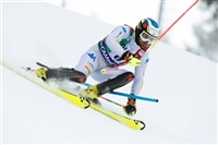 Manfred Moelgg t-shirt #3649572