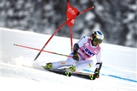 Manfred Moelgg t-shirt #3649573