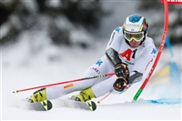 Manfred Moelgg mug #G2263265