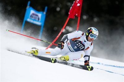 Manfred Moelgg posters