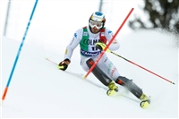 Manfred Moelgg longsleeve t-shirt #3649589