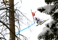 Manfred Moelgg longsleeve t-shirt #3649595